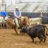 Volunteer Ranch Horse Show